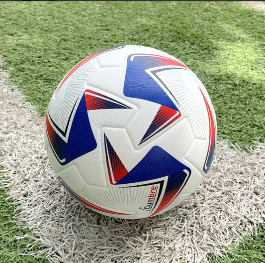 Copa America 2024